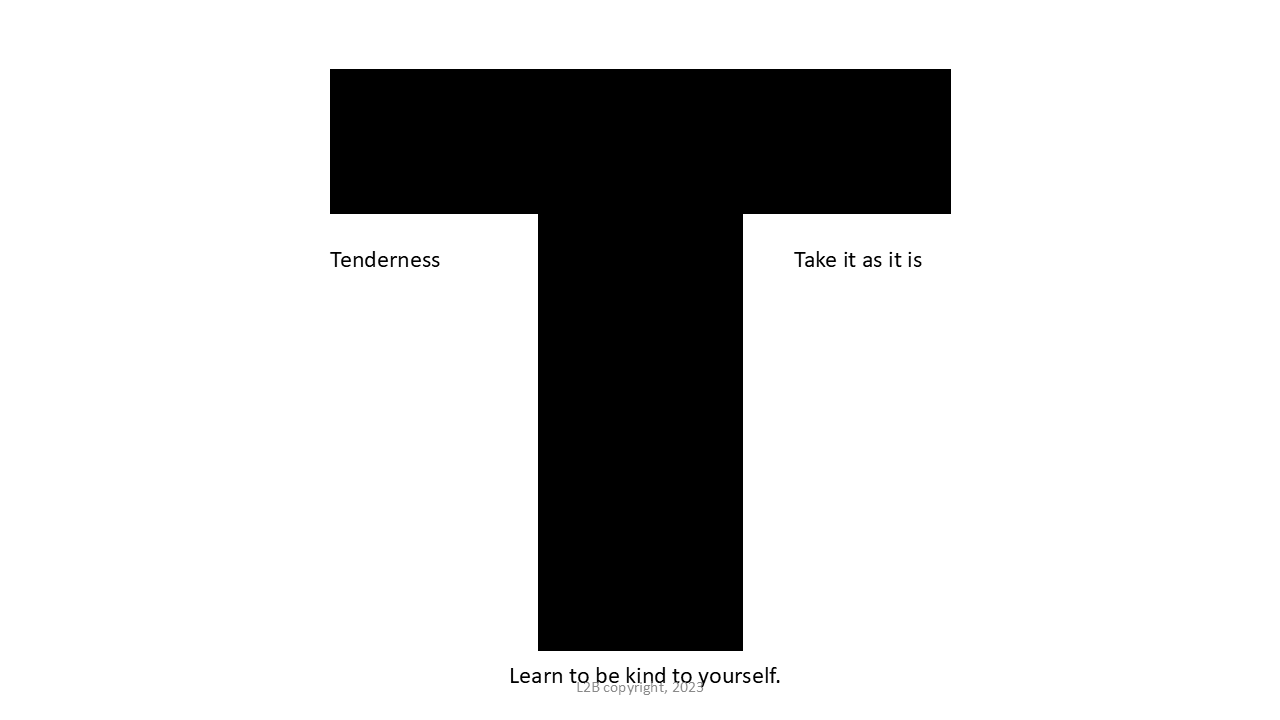 T Theme 147