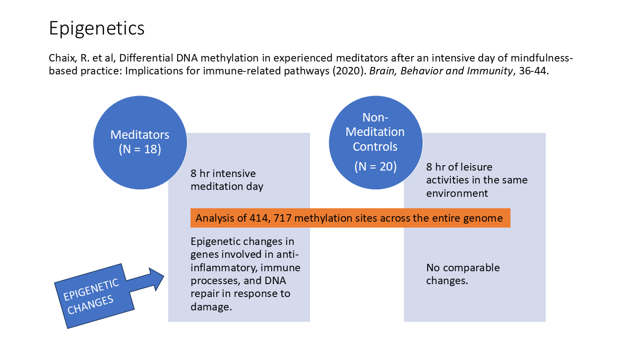 Epigenetics 11