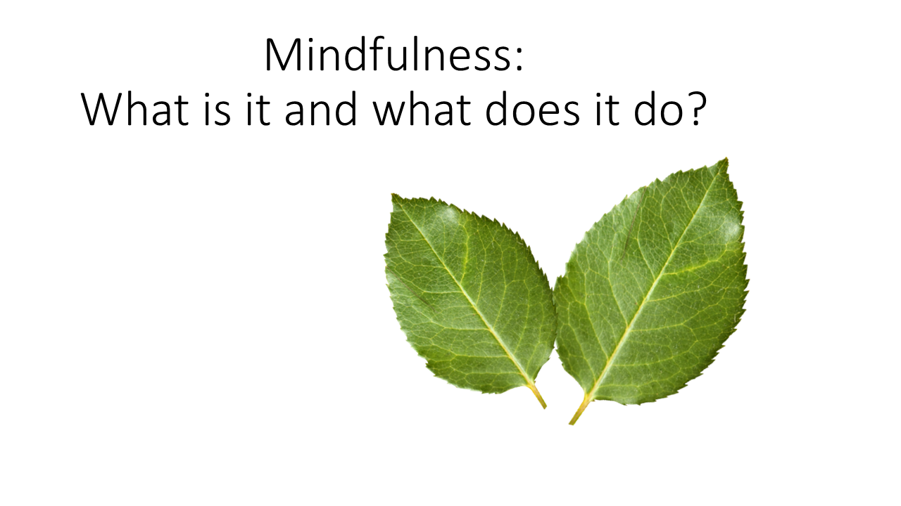 Mindfulness: What is it and what does it do? 16