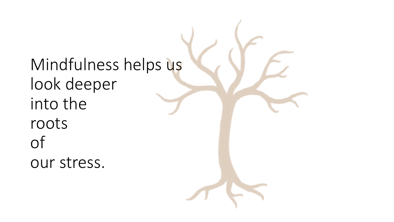 Identify Roots of Stress 21