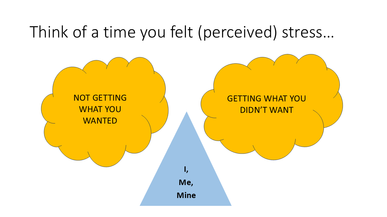 Think of a time you felt (perceived) stress 22
