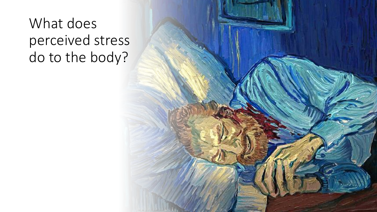 What does perceived stress do to the body? 23