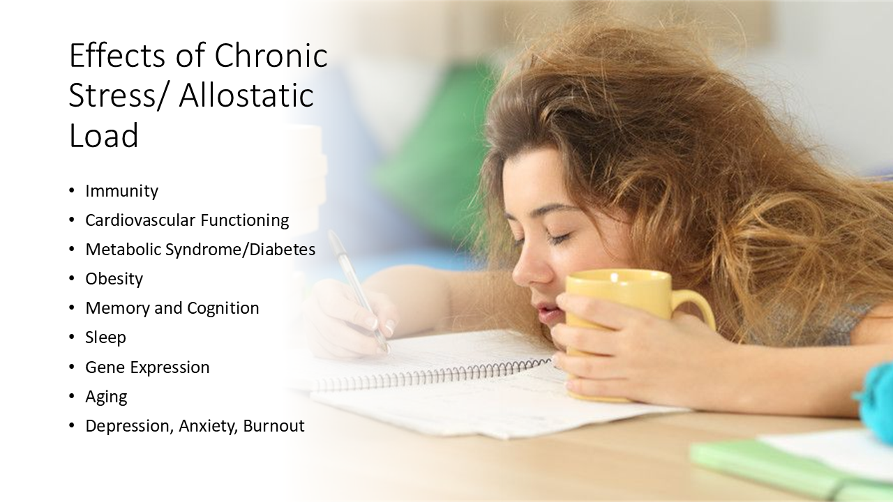 Effects of Chronic Stress/ Allostatic Load 25