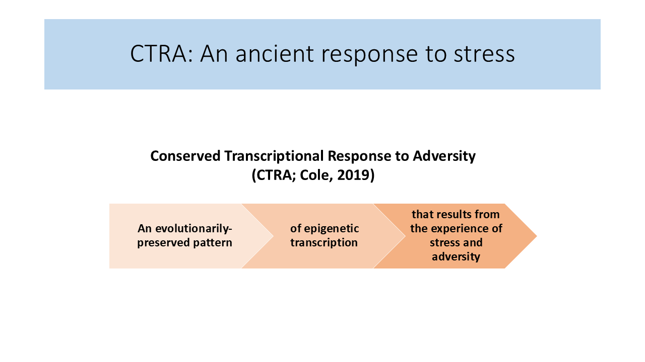 CTRA: An ancient response to stress 28