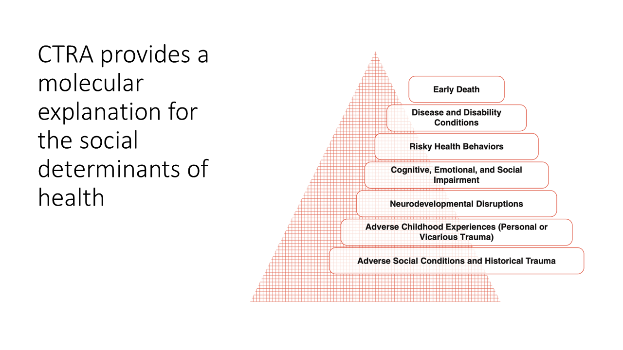 Social Determinants of Health 30