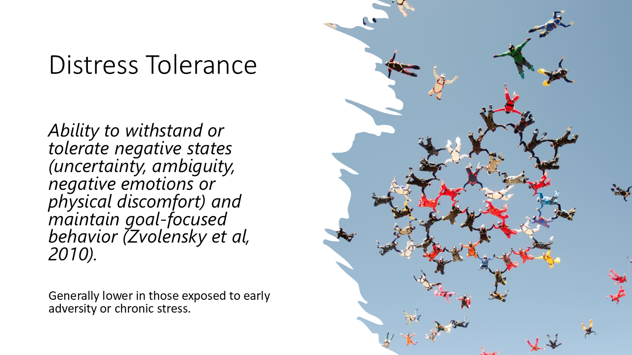 Distress Tolerance 38