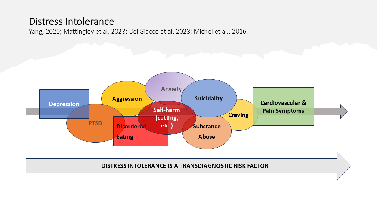 Distress Intolerance 39