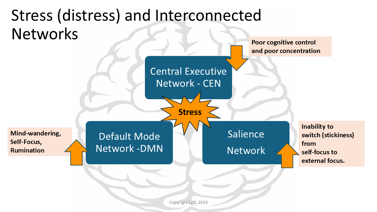Stress (Distress) and Interconnected Networks 41