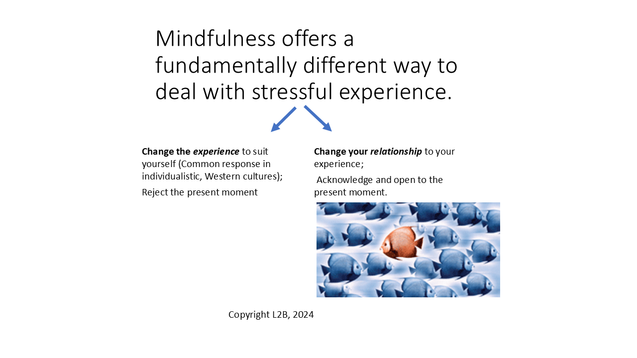 Mindfulness offers a fundamentally different way to deal with stressful experience. 44