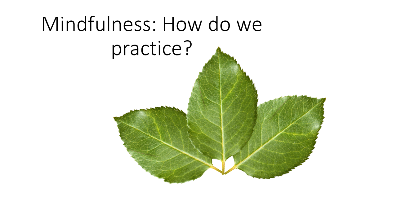 Mindfulness: How do we practice? 46