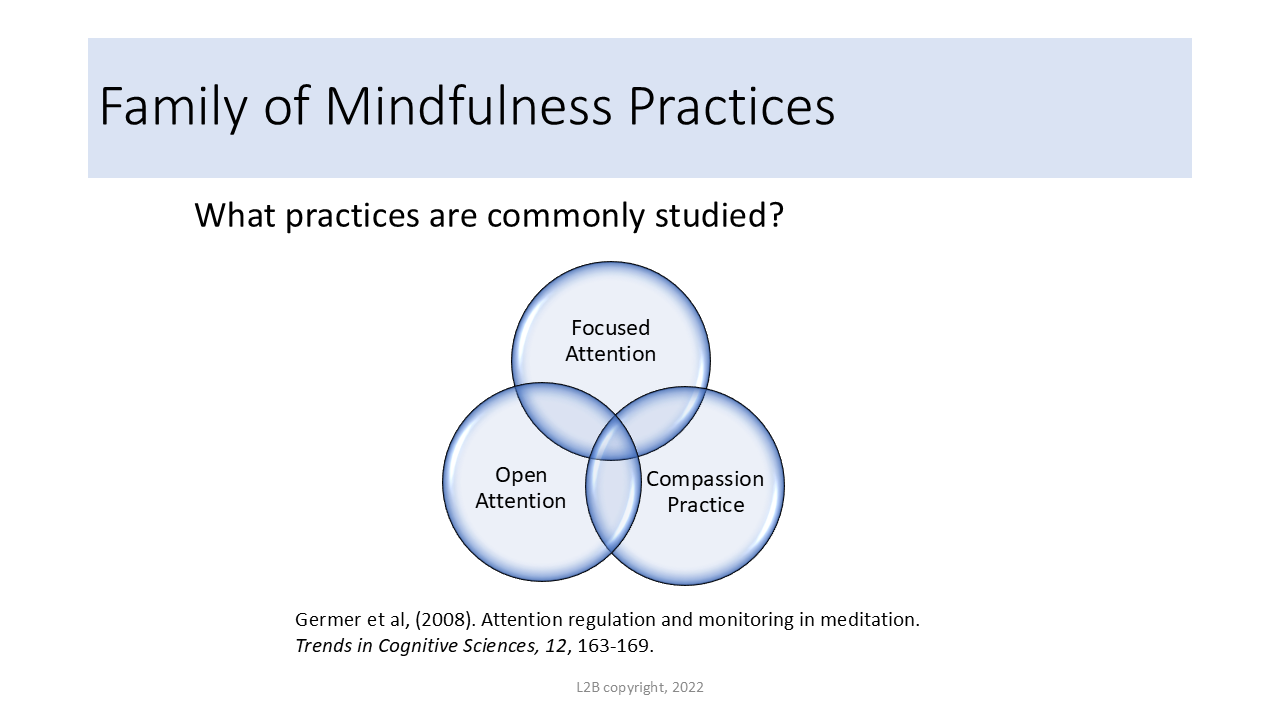 Family of Mindfulness Practices 47