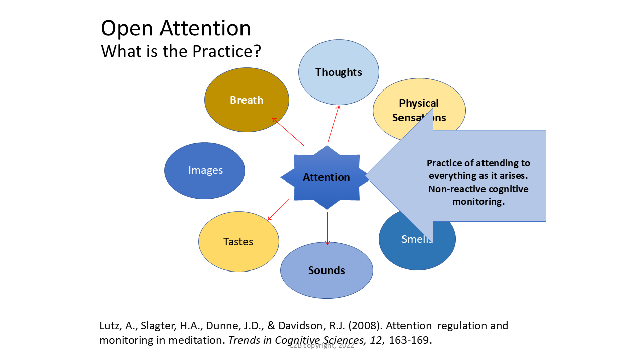 Open Attention 50
