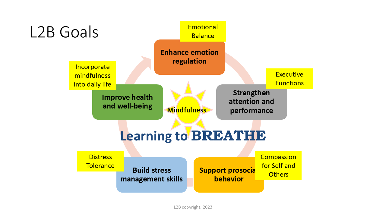 L2B Goals 56