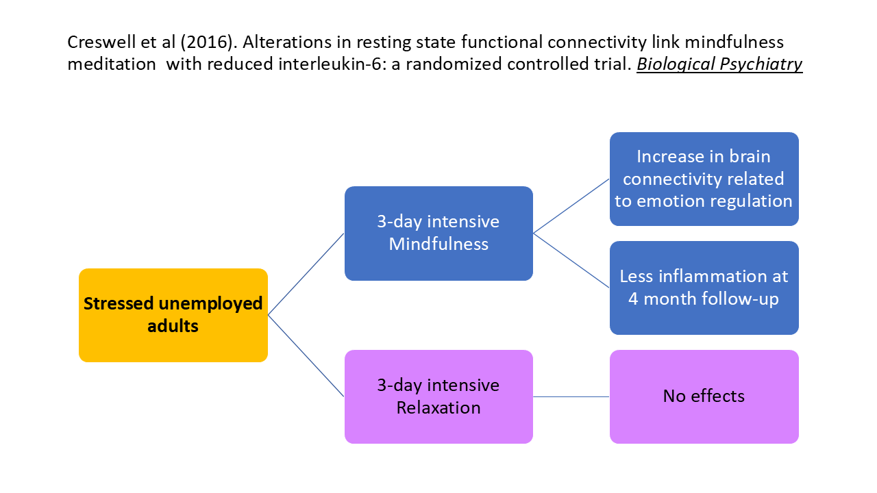 Stressed Unemployed Adults 9