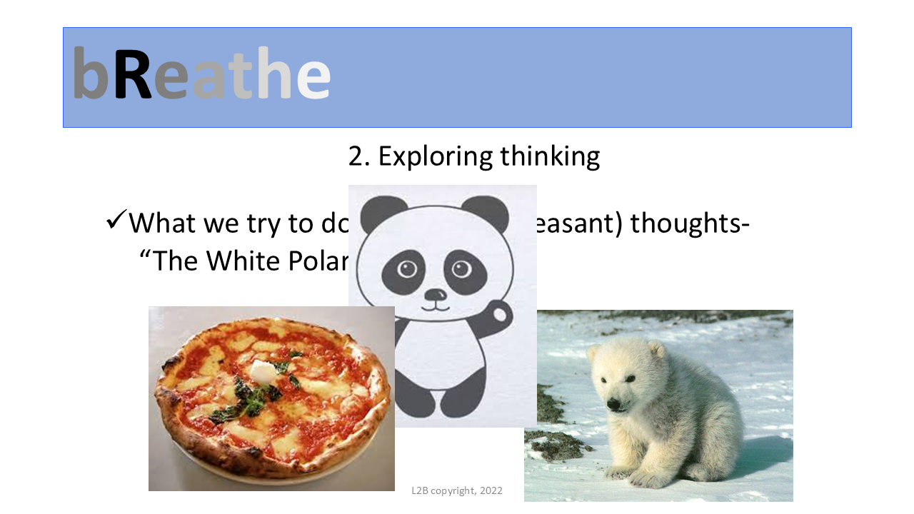 2. Exploring thinking 102
