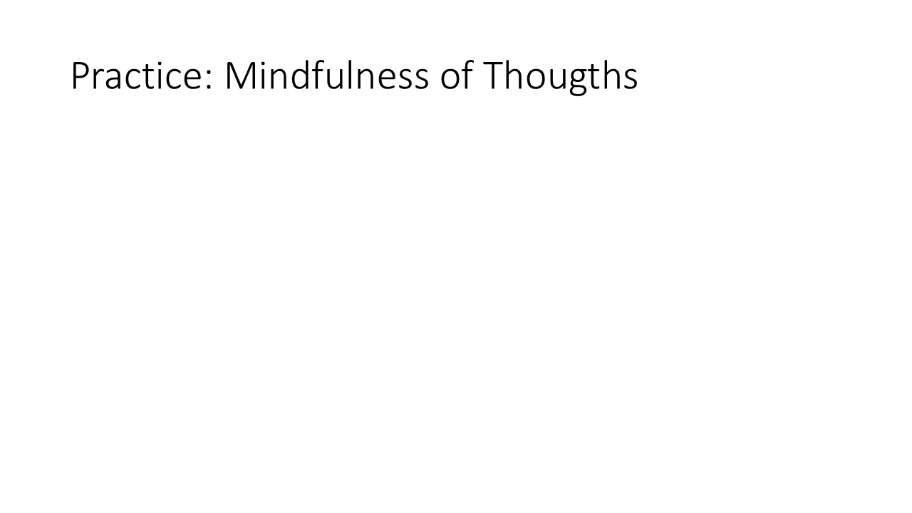 Practice: Mindfulness of Thoughts 105