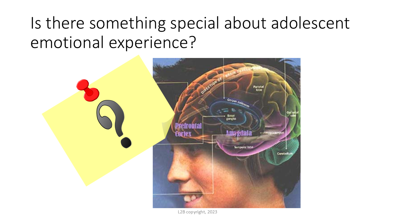 Is there something special about adolescent emotional experience? 107