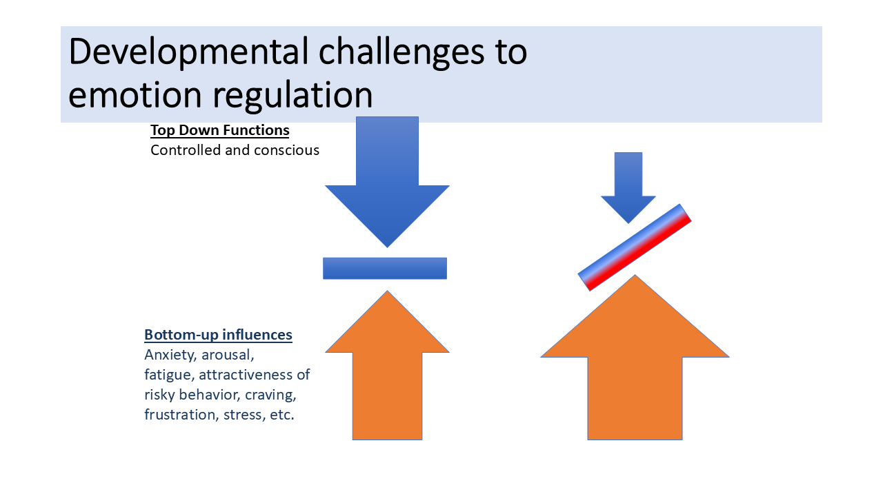 Developmental challenges to emotion regulation 109