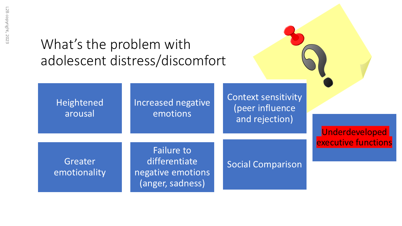 What’s the problem with  adolescent distress/discomfort 110