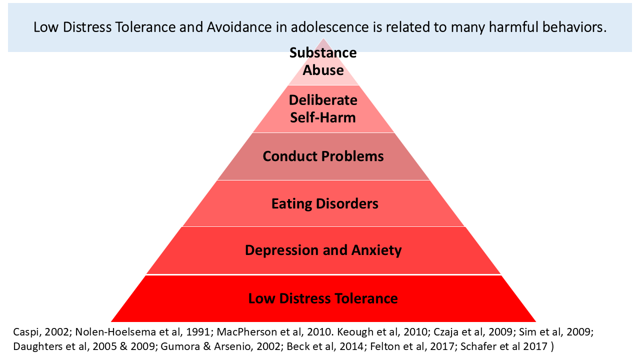 Low Distress Tolerance and Avoidance in adolescence is related to many harmful behaviors 112