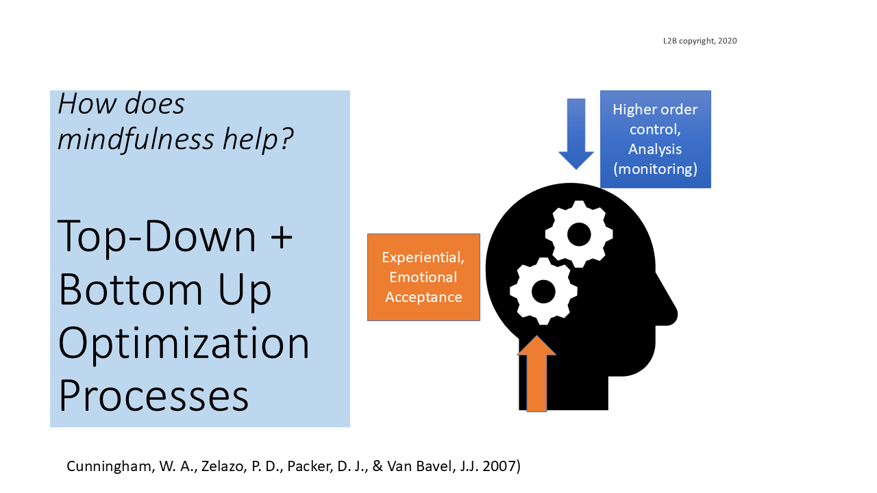 Top-Down + Bottom Up Optimization Processes 114
