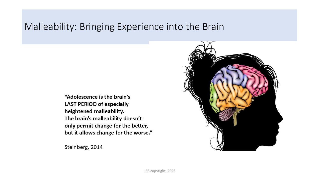 Malleability: Bringing Experience into the Brain 128