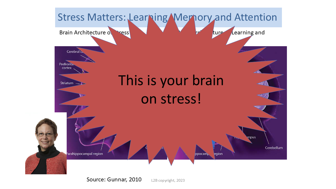 This is your brain on stress! 130
