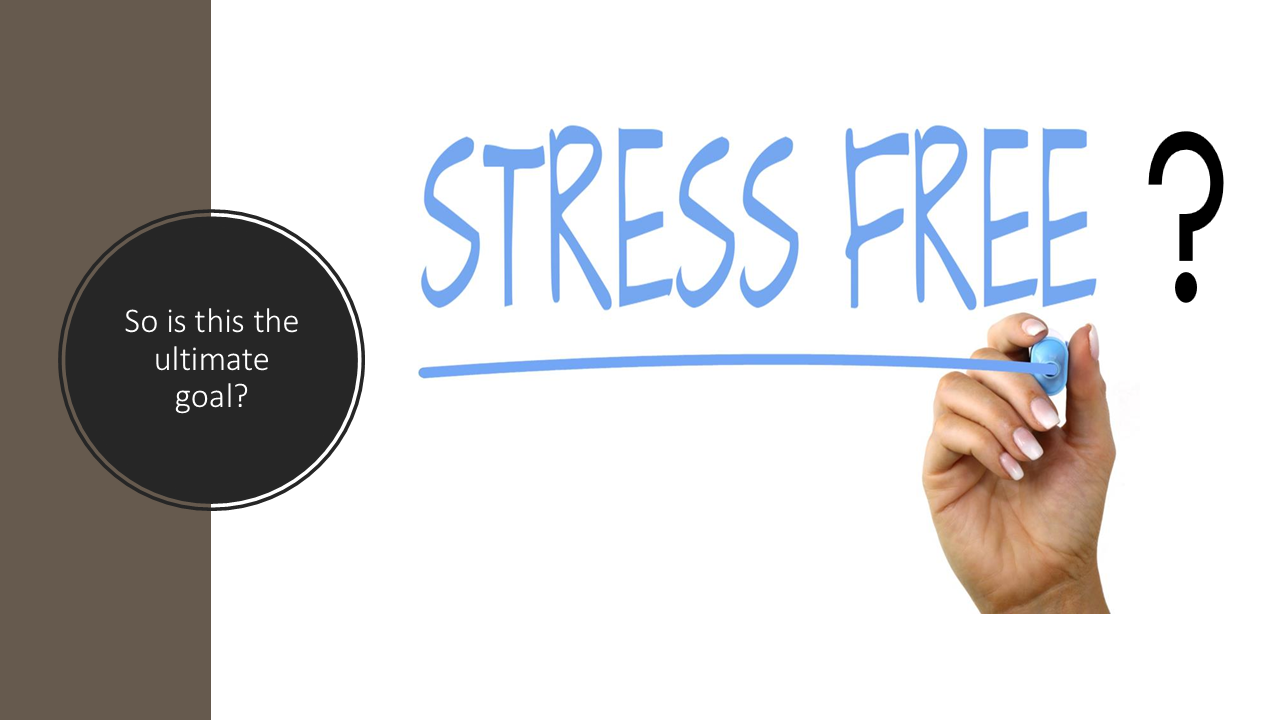 Is Stress-Free The Goal? 131