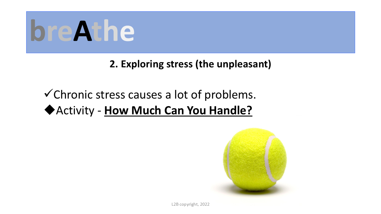 2. Exploring stress (the unpleasant) 137