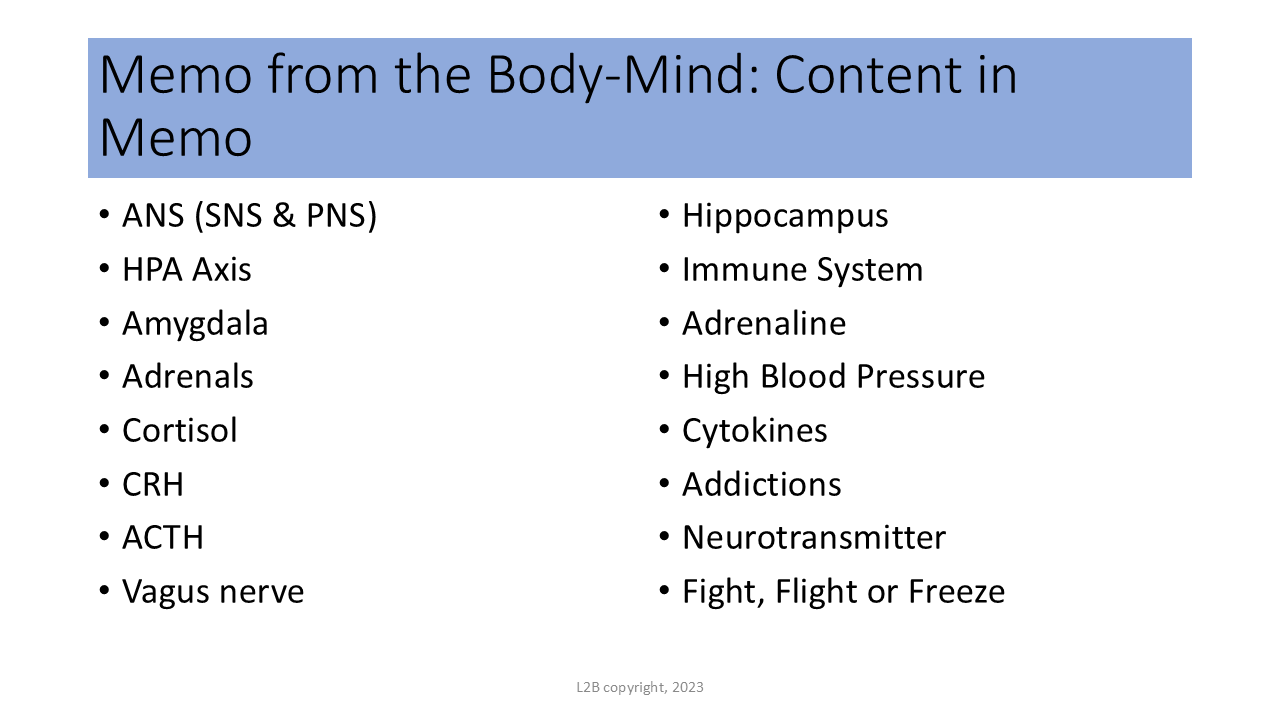 Memo from the Body-Mind: Content in Memo 141
