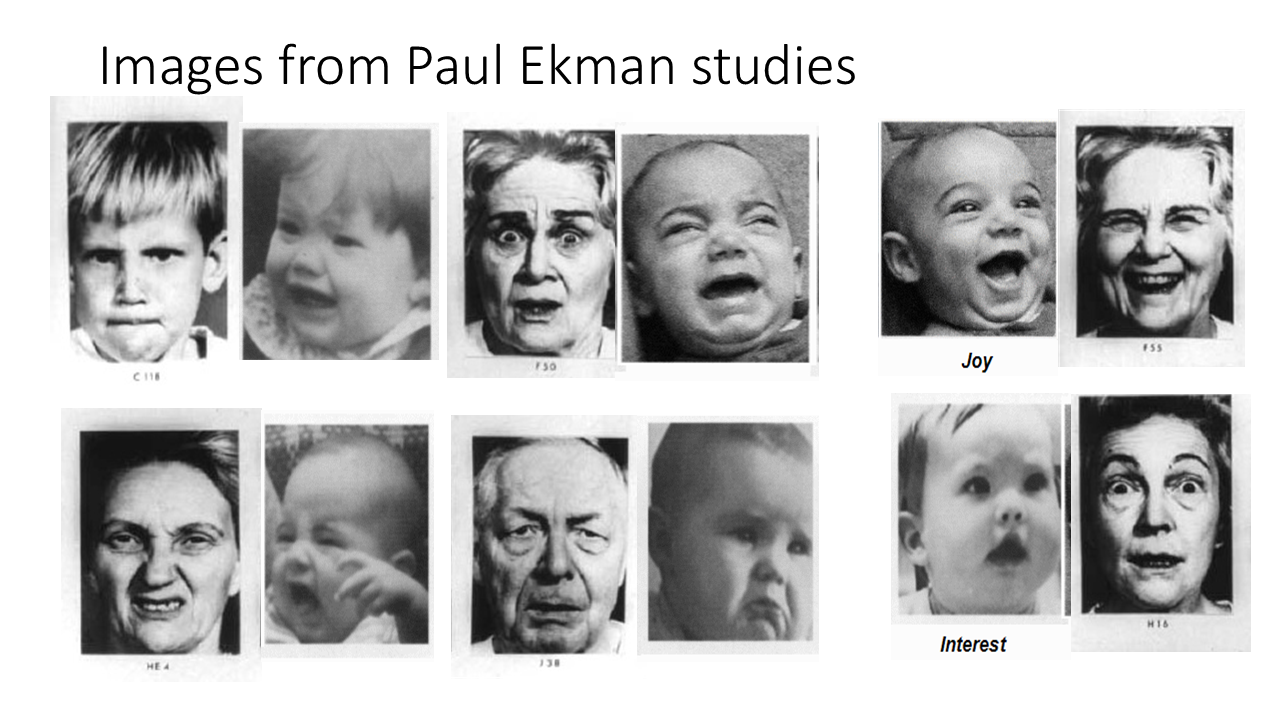 Images from Paul Ekman studies 155