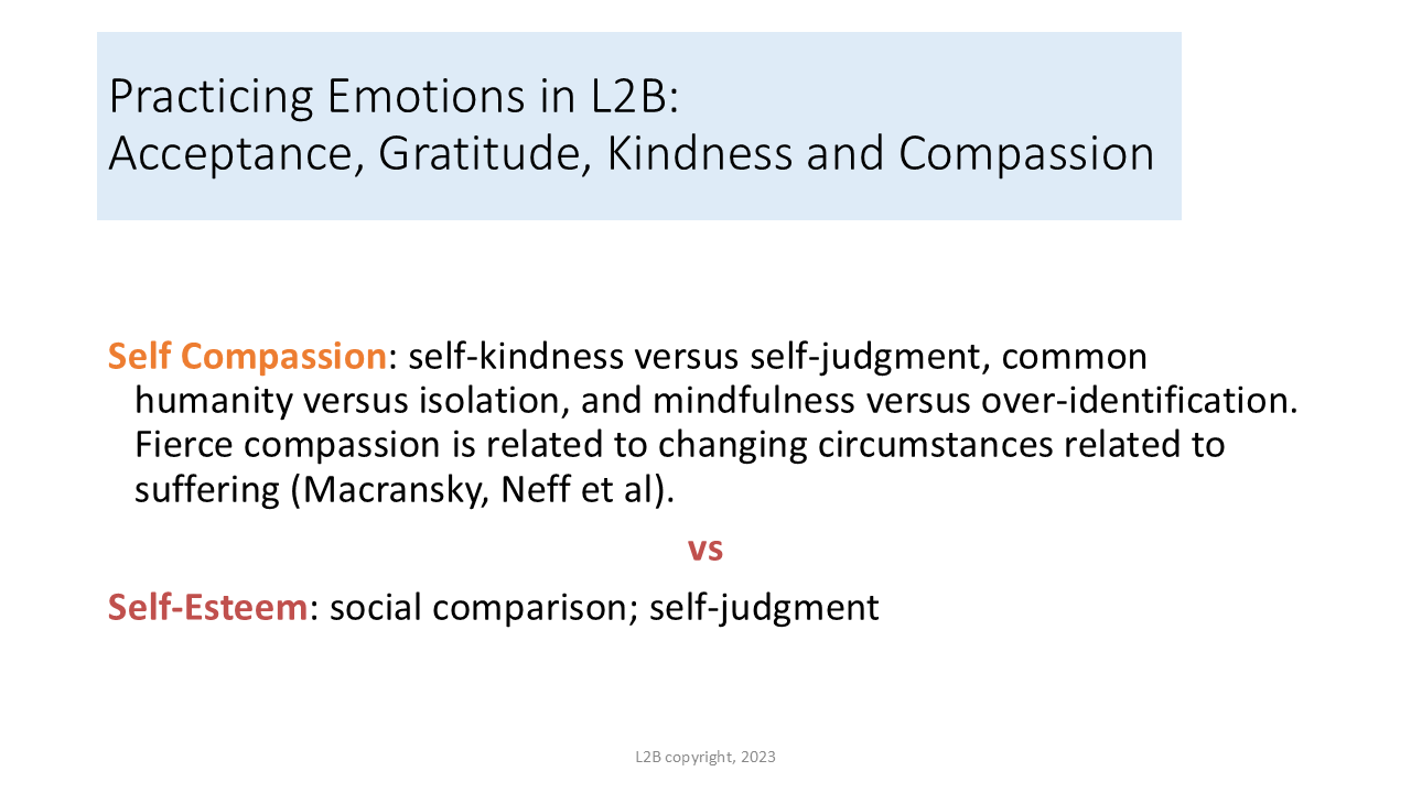 Practicing Emotions in L2B: Acceptance, Gratitude, Kindness and Compassion 157