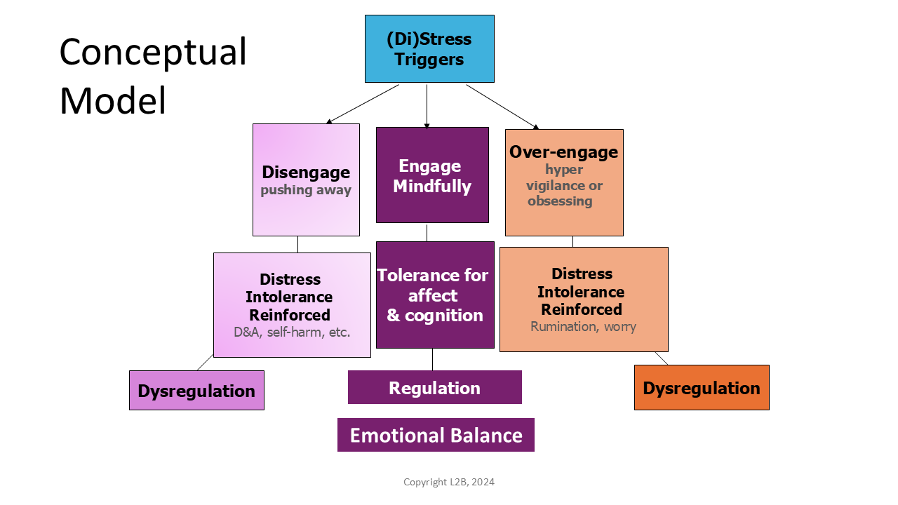 Conceptual Model 57