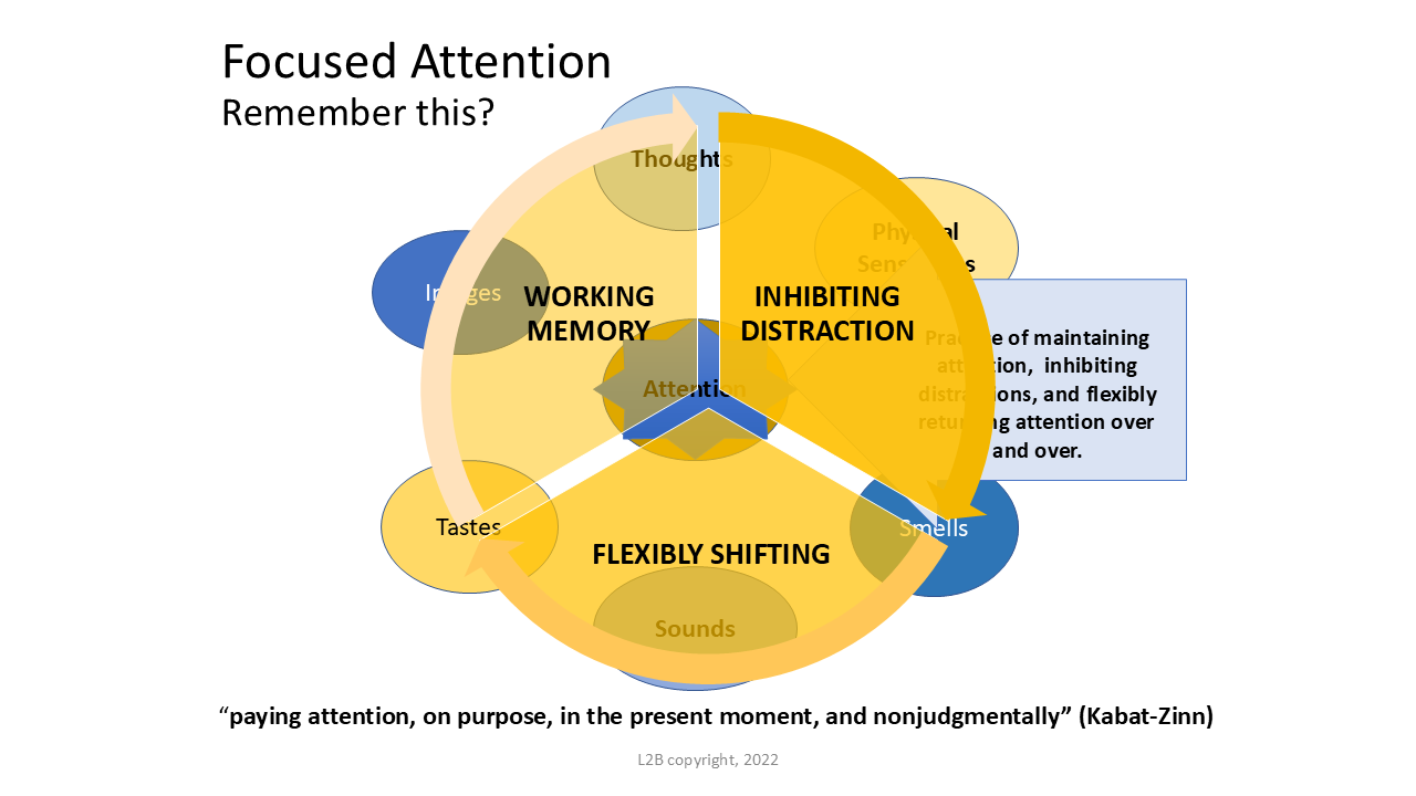 Focused Attention 74