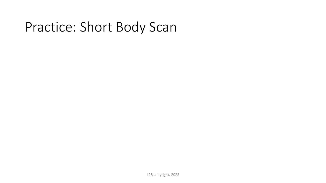 Practice: Short Body Scan 83