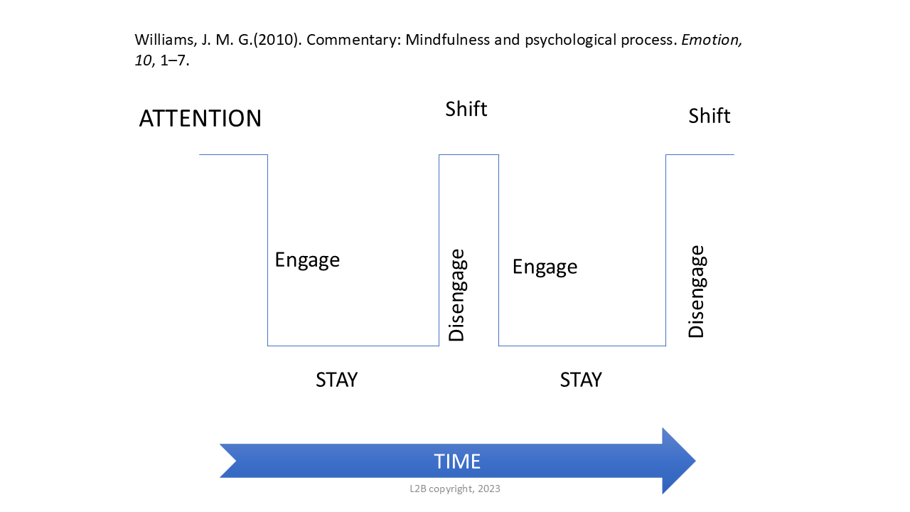 Attention Shift 84
