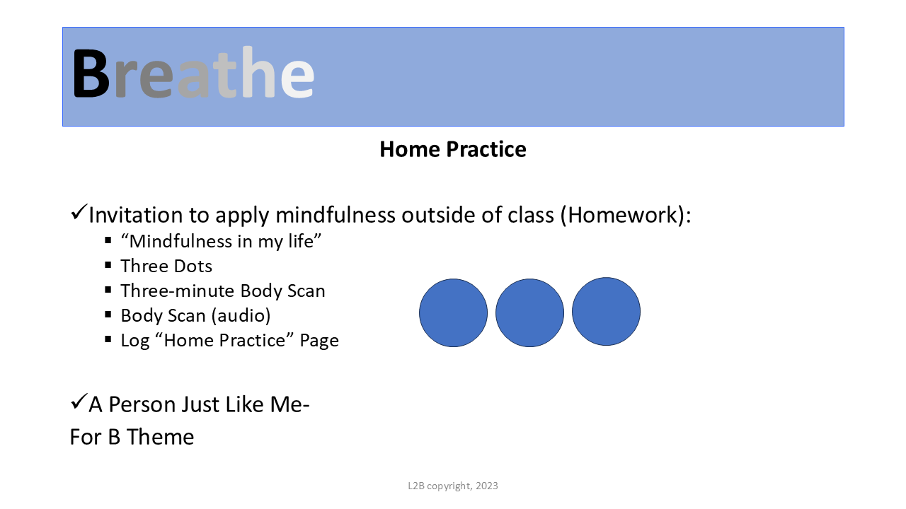 Home Practice 85