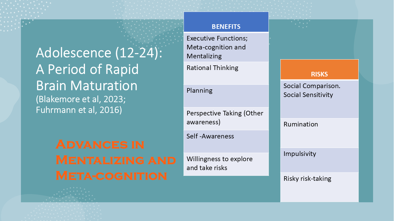 Adolescence (12-24): A Period of Rapid Brain Maturation 91