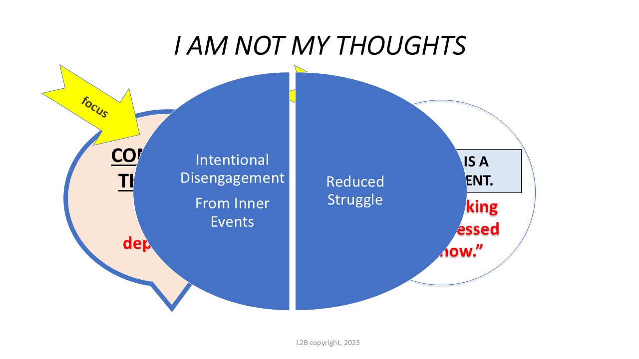 I AM NOT MY THOUGHTS 96