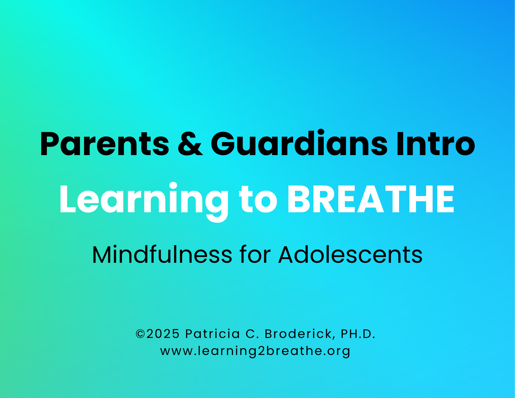 Chapter 4:   What is mindfulness and why do parents need it, too?